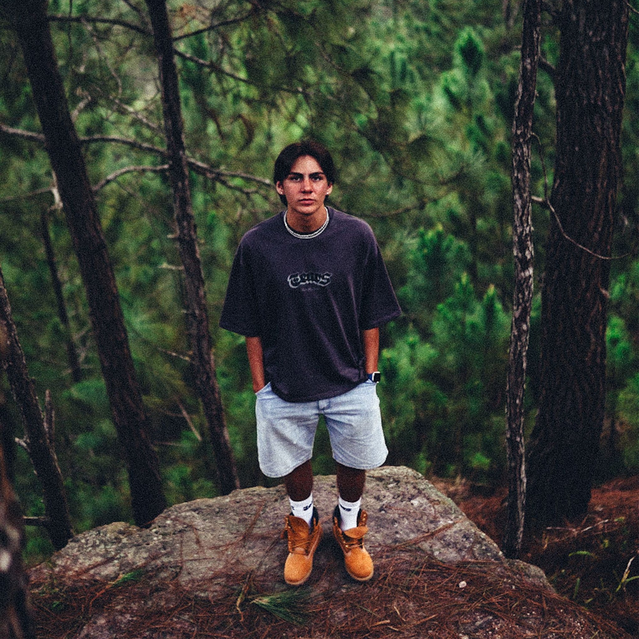 NEW BUTTERFLY TEE V3 GRAY